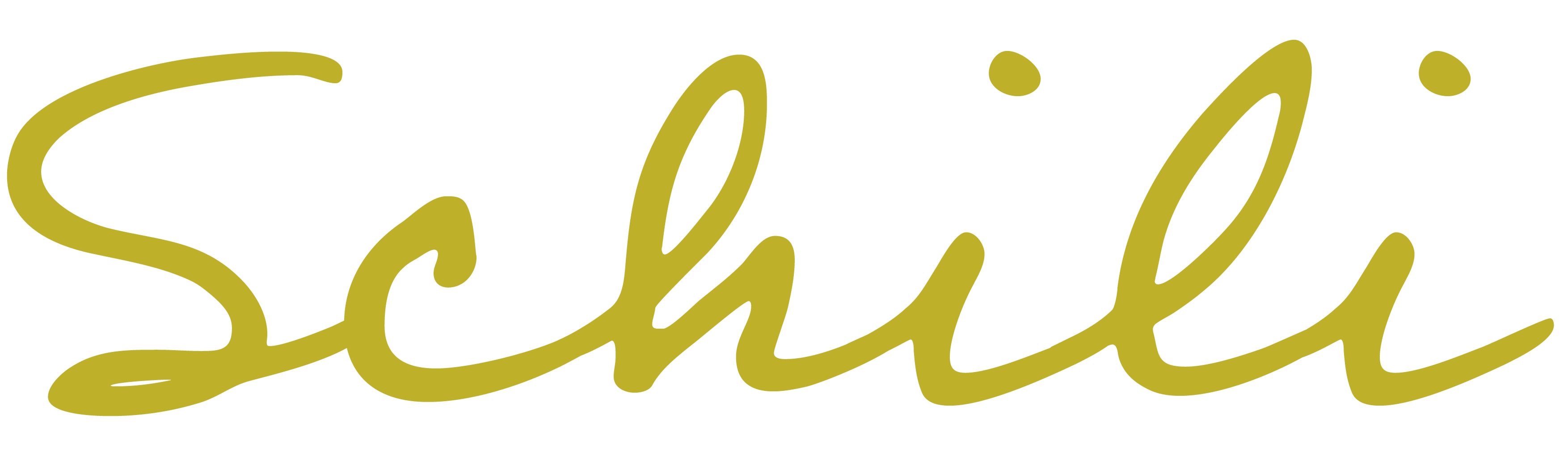 Logo Schili